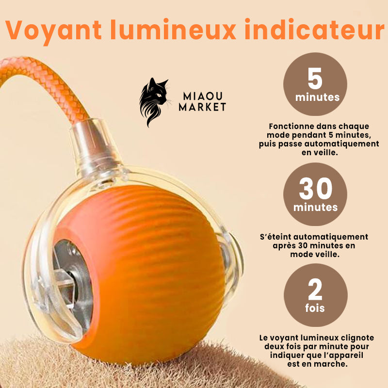 Balle interactive pour chat – jouet intelligent rechargeable