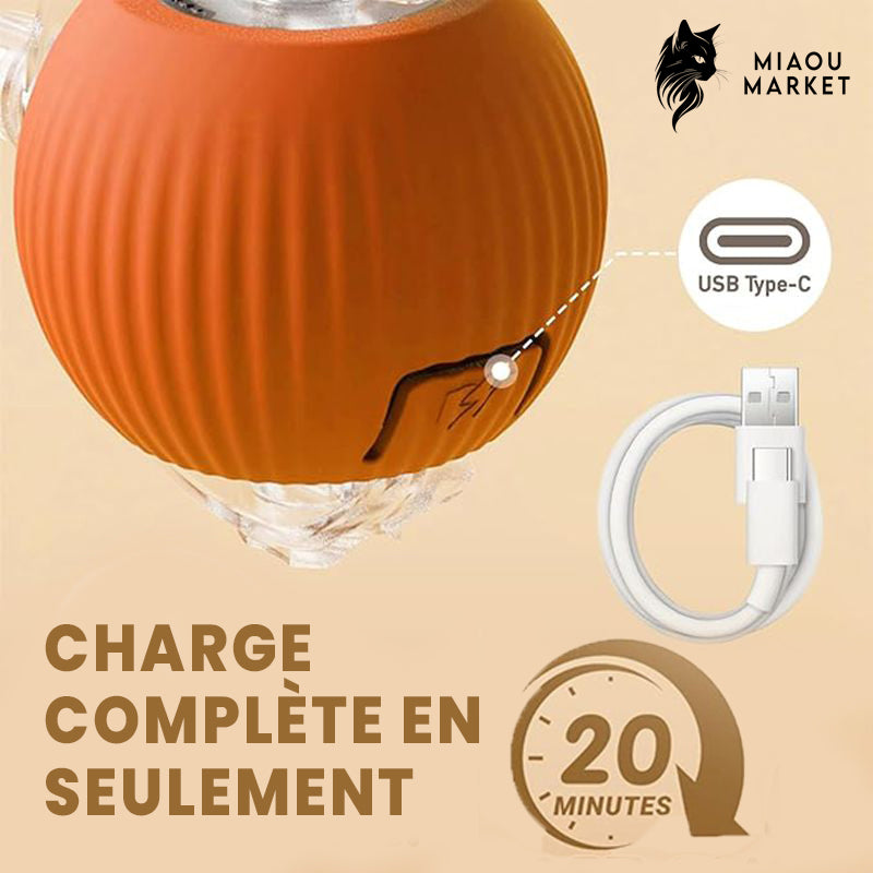 Balle interactive pour chat – jouet intelligent rechargeable