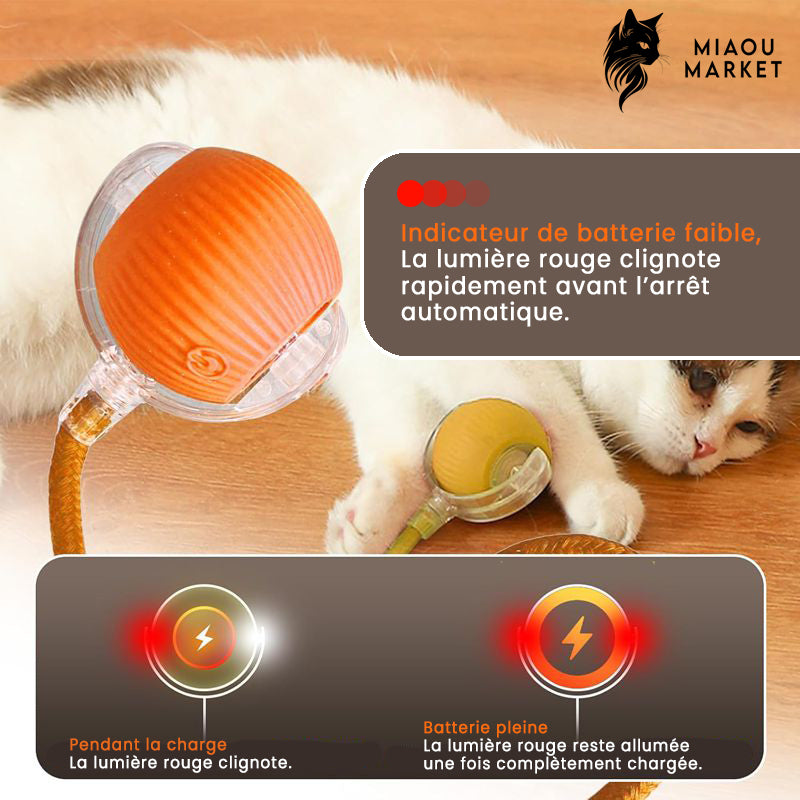 Balle interactive pour chat – jouet intelligent rechargeable
