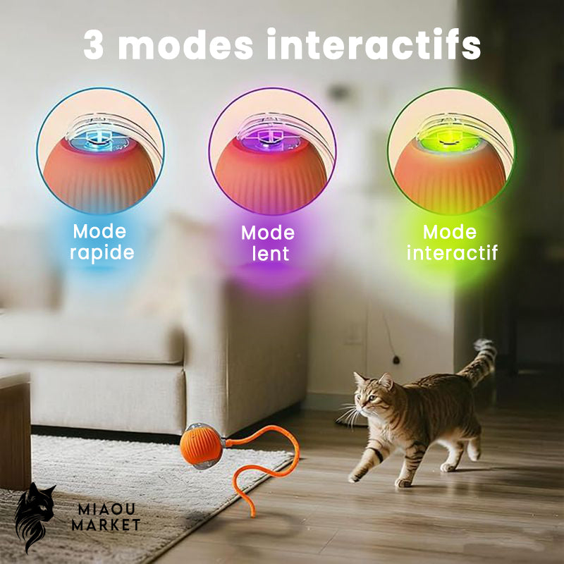 Balle interactive pour chat – jouet intelligent rechargeable