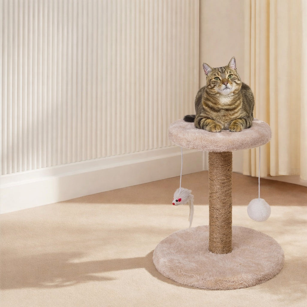 Mini arbre à chat griffoir avec balle suspendue – Stable, doux et résistant
