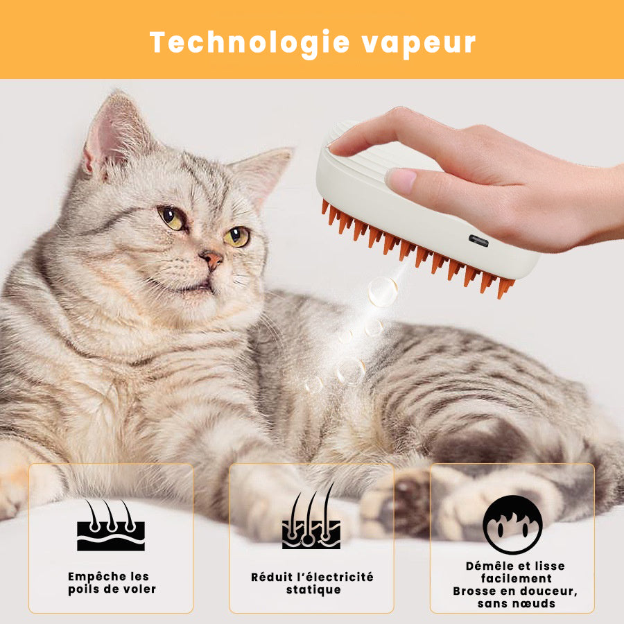 Brosse Vapeur 3-en-1 Rechargeable pour Chat – Nettoie, Démêle & Masse