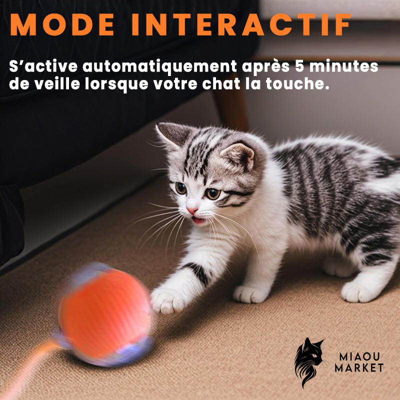 Balle interactive pour chat – jouet intelligent rechargeable