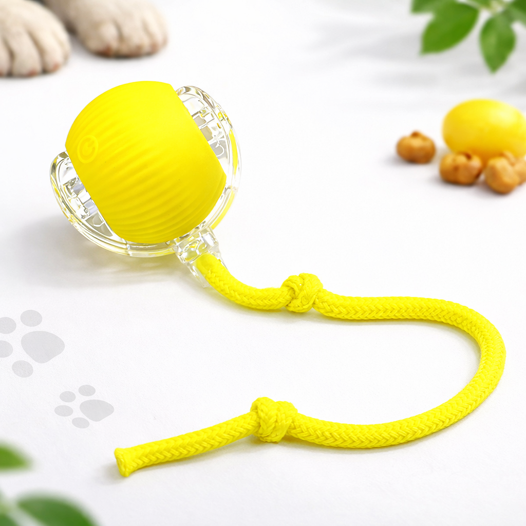Balle interactive pour chat – jouet intelligent rechargeable