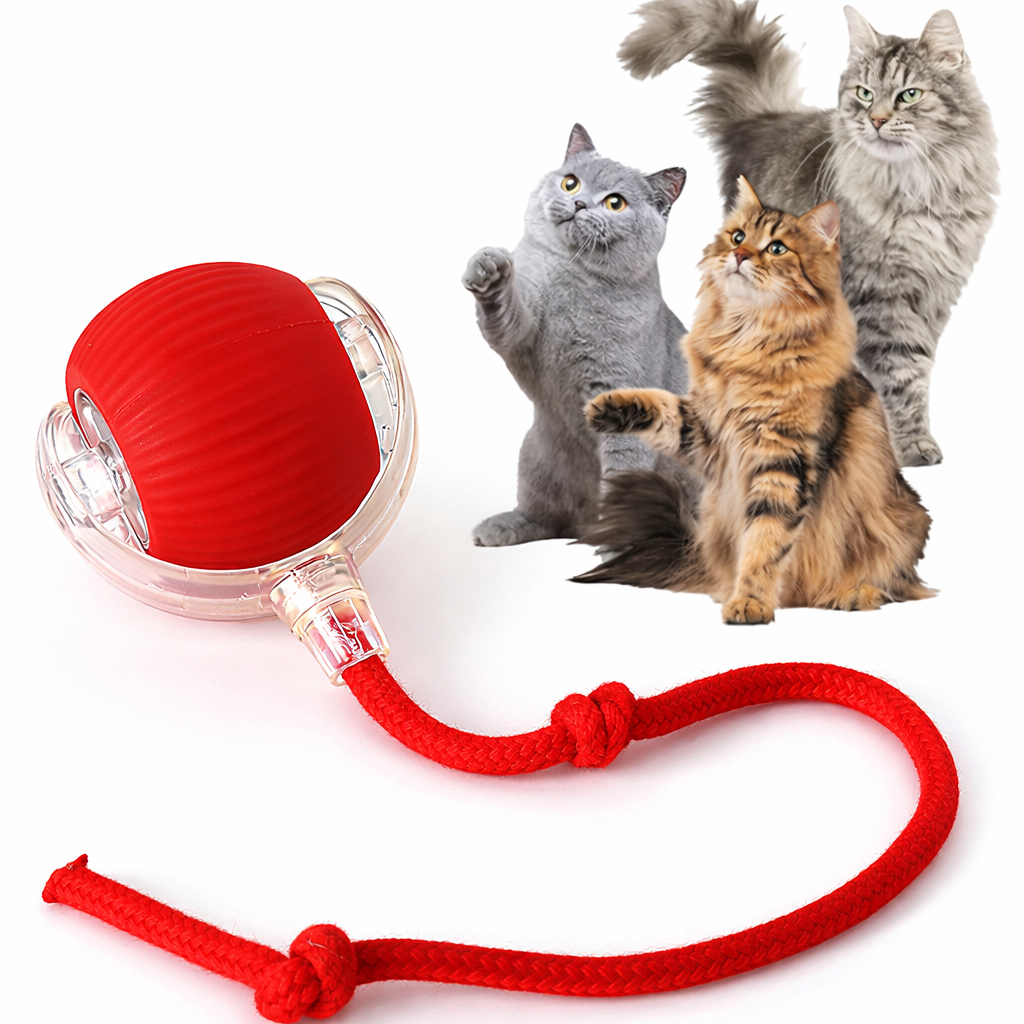 Balle interactive pour chat – jouet intelligent rechargeable