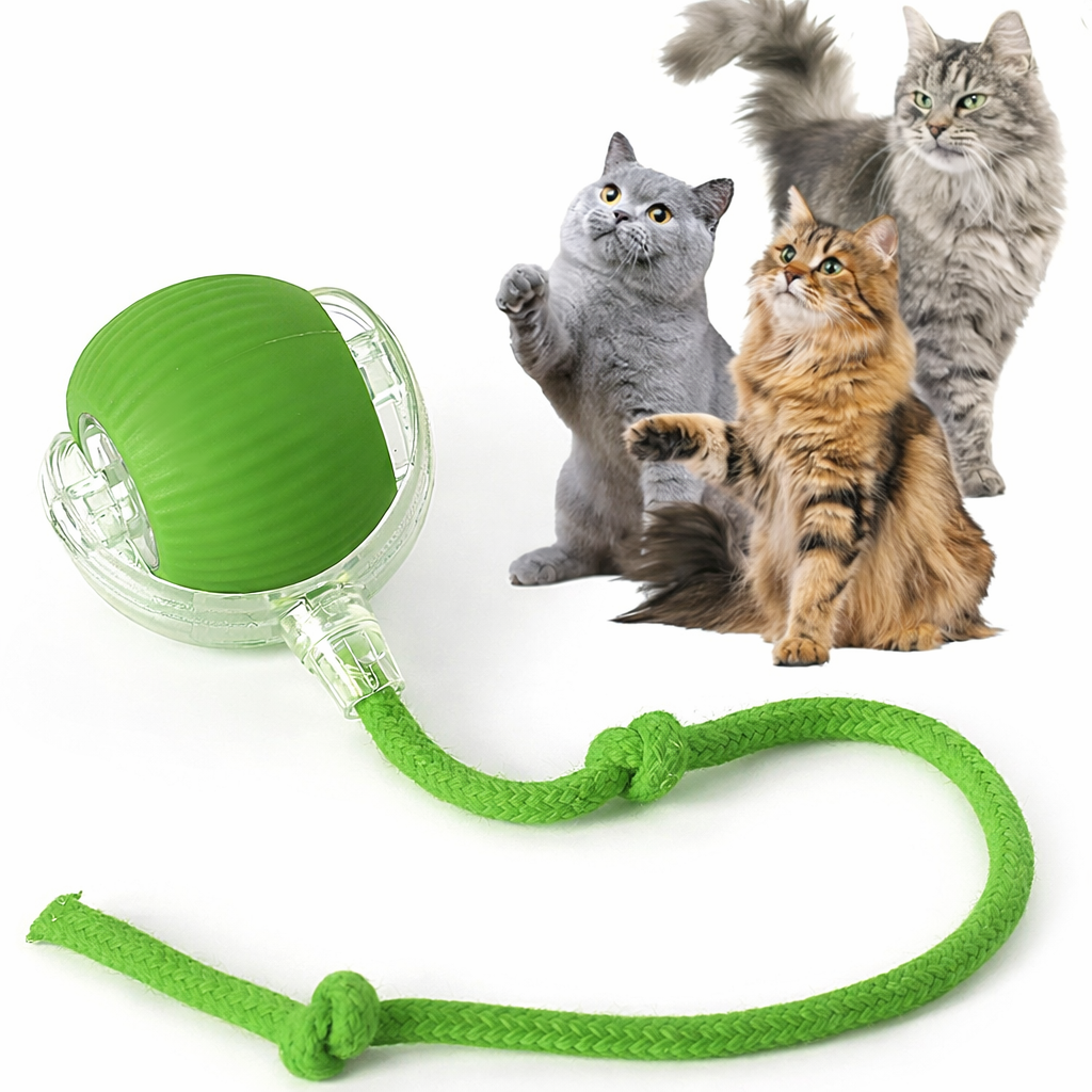 Balle interactive pour chat – jouet intelligent rechargeable
